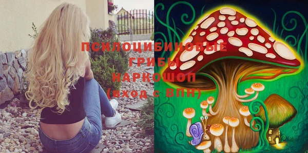 PSILOCYBIN Ростов