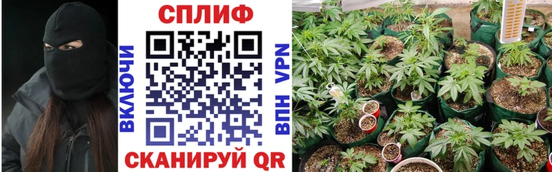 кракен ТОР  Чита  Бошки Шишки Bruce Banner 